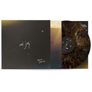 Hope We Have Fun (180 gr. Coyote Brown Coloured Vinyl)