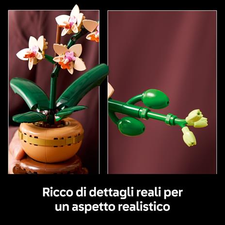 LEGO Botanicals 10343 Mini-Orchidea, Fiori Finti da Costruire, Botanical Collection per Adulti, Idea Regalo per Donna o Uomo - 3
